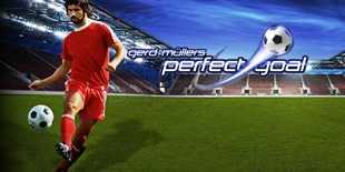 Perfect Goal